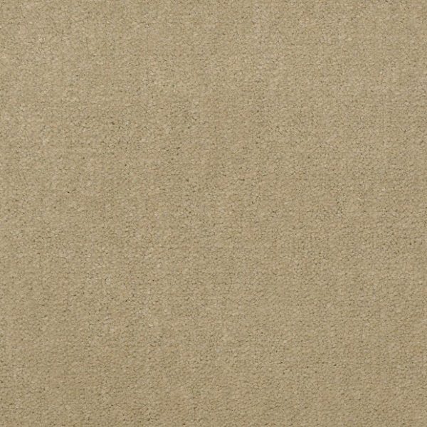 PARCHMENT 56120