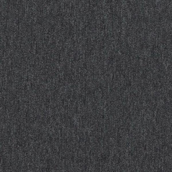 PLETHORA 00520