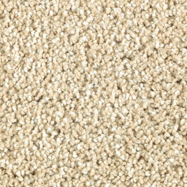 Parchment