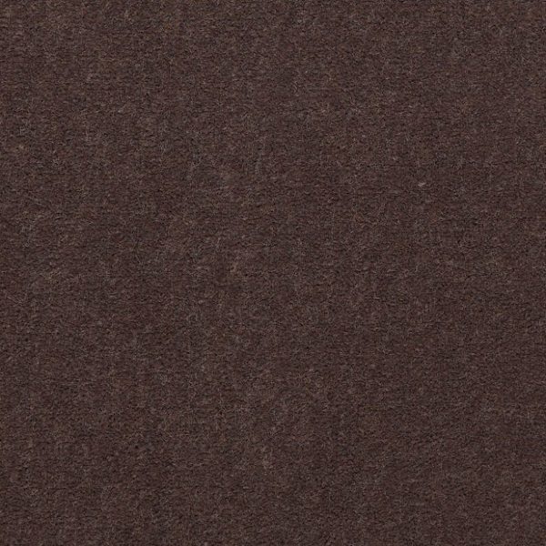 RAISIN 56726