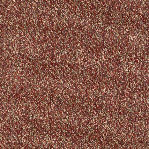 RAISINBERRY 00820