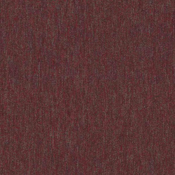 REGION 00800