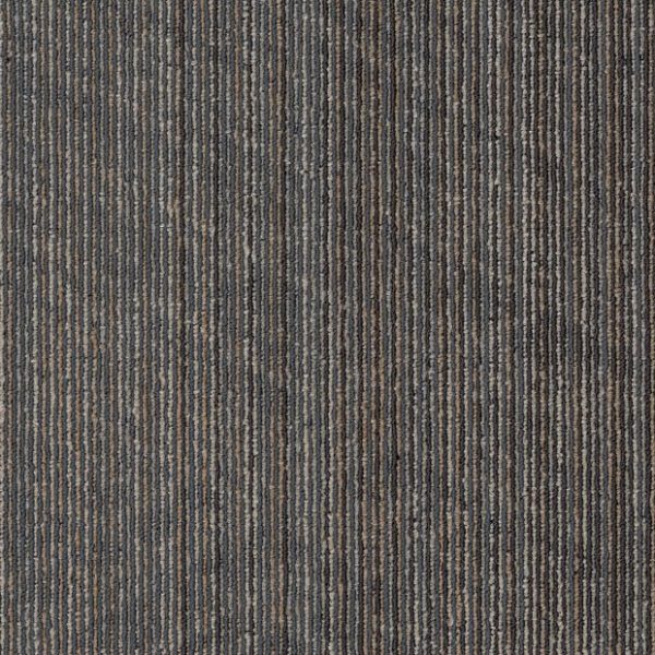 REVEAL 00206