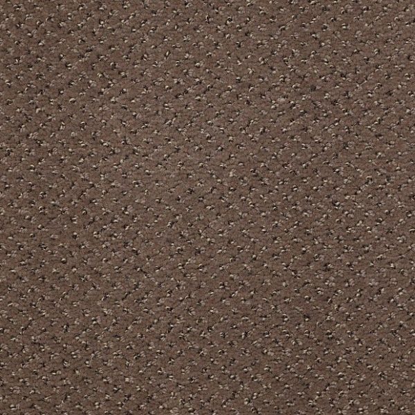 RIVERBED 66704