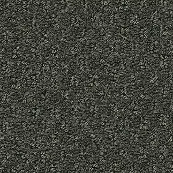 Rich Titanium