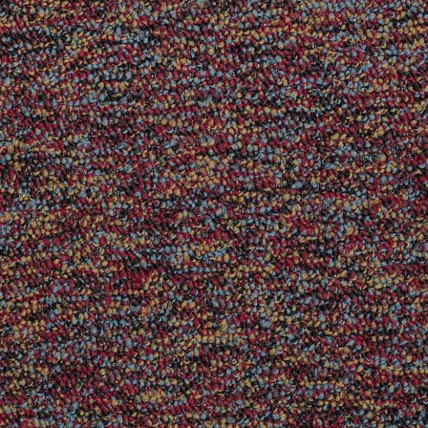 SALSA 00800