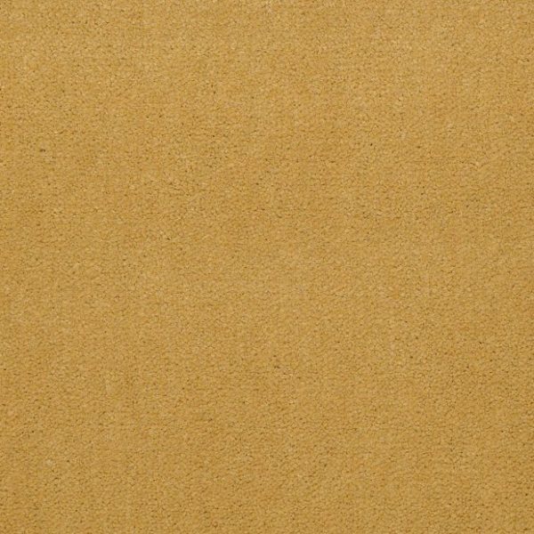 SUNFLOWER 56222