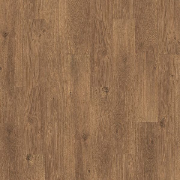 Saddlewood Oak