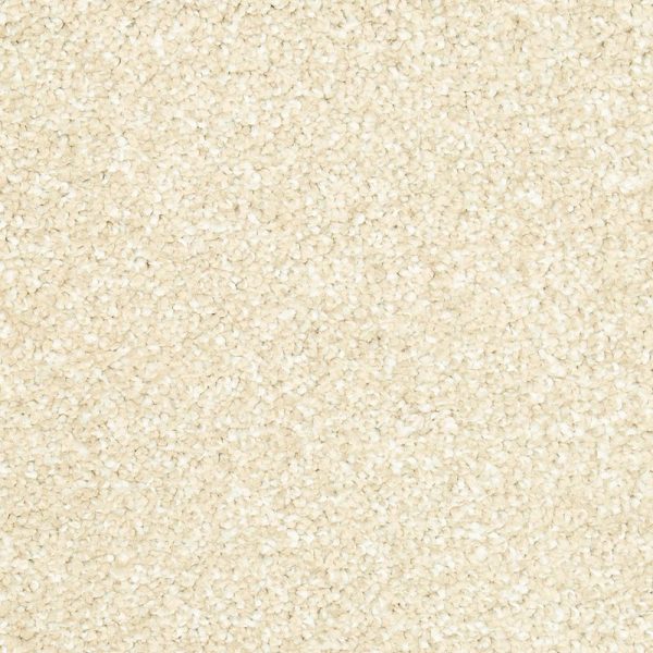 Sand Dollar