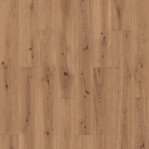 Soft Tan Oak