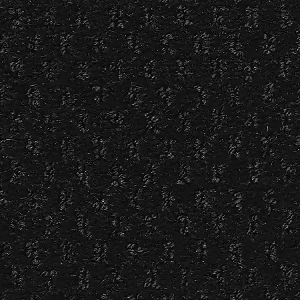 Starless Night
