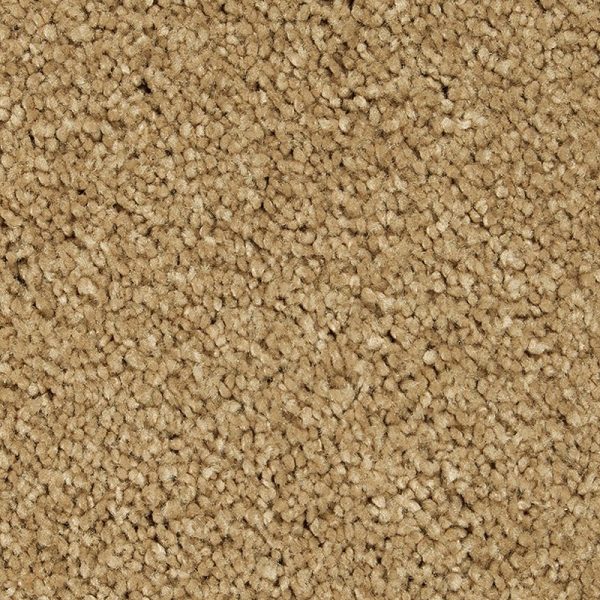 Stonington Beige