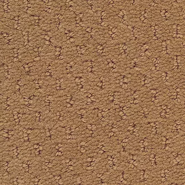 Studio Clay