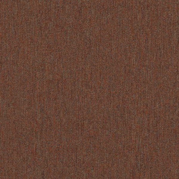 TERRA 00600