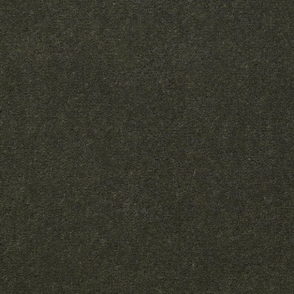 THYME 56314