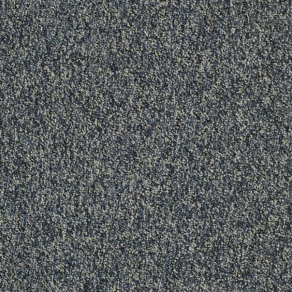 TORRENT 00410