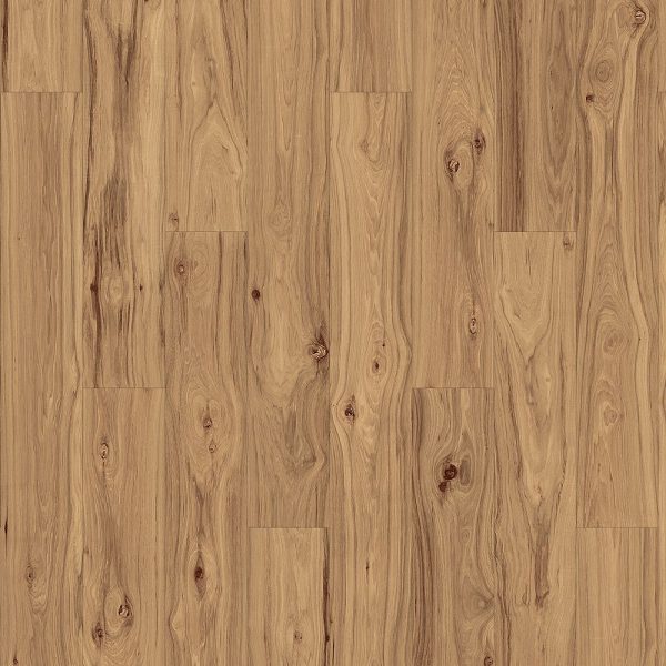 Tamarind Hickory