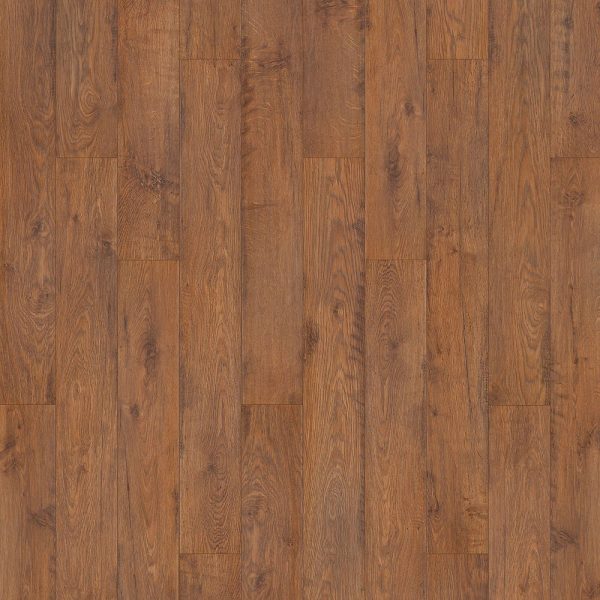 Twilight Oak