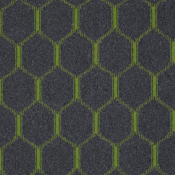 WILD WILLOW 00550