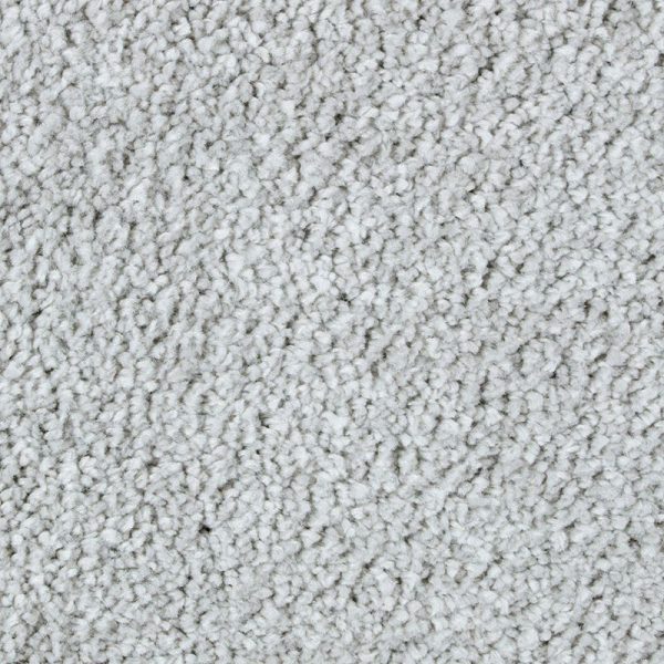 Winter Ash